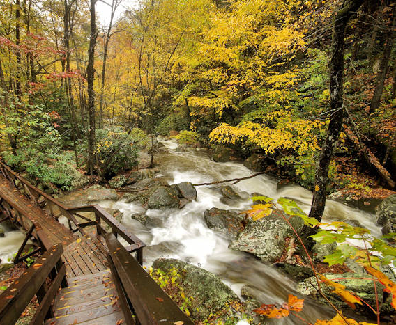South Mountain State Park - just 20 miles south of me